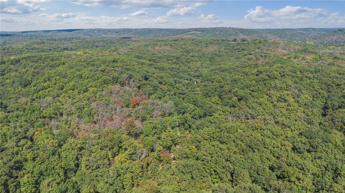 Land in Gravois Mills 4