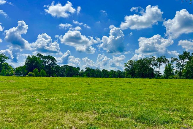 02 Carrier Rd, Home with 0 bedrooms, 0 bathrooms and null parking in Pine Grove LA | Image 9