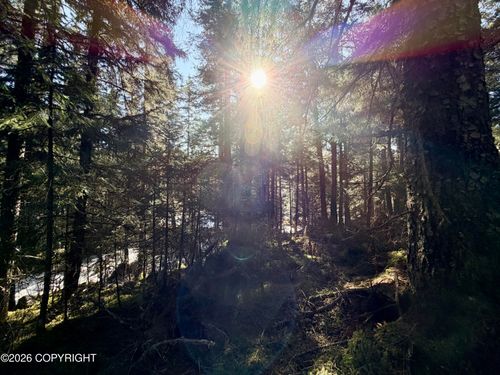 L7 B4 Rosenburg Lane, Seldovia, AK, 99663 | Card Image
