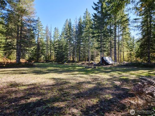 2 Lahar Lane, Cougar, WA, 98616 | Card Image