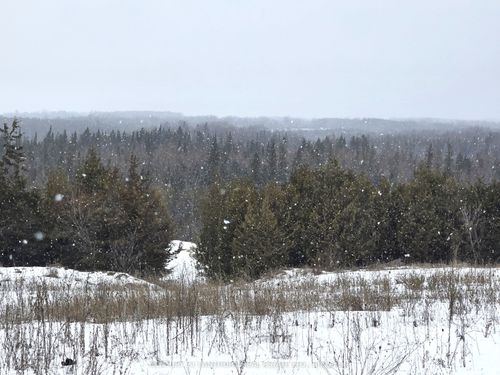 0 Shannonville Rd, Corbyville, ON, K0K1V0 | Card Image