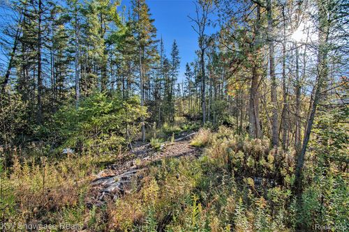 9191 M 33, Atlanta, MI, 49709-8989 | Card Image