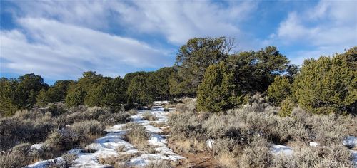 Lot 7265 Tiernan Rd, Fort Garland, CO, 81133 | Card Image