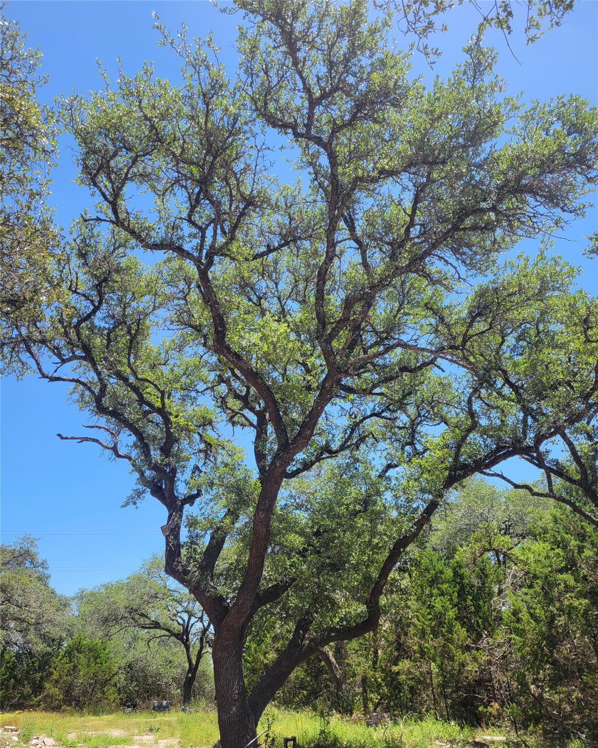 Land in Blanco 5