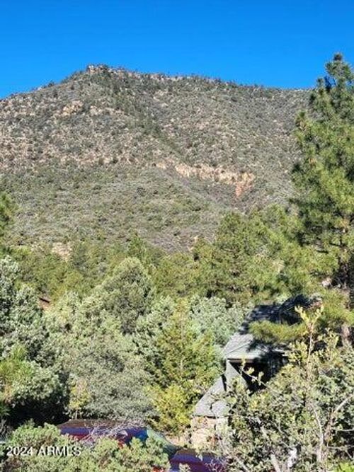 163-Lot 163 N Portal Dr, Pine, AZ, 85544 | Card Image