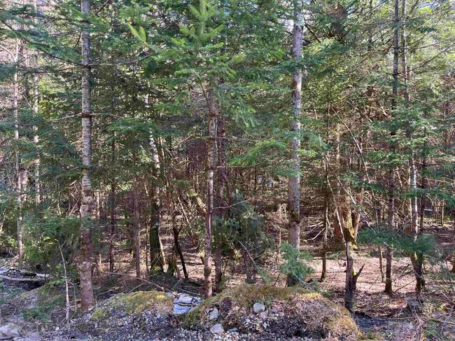 00 Sniderbrook Rd, Home with 0 bedrooms, 0 bathrooms and null parking in Westfield VT | Image 4