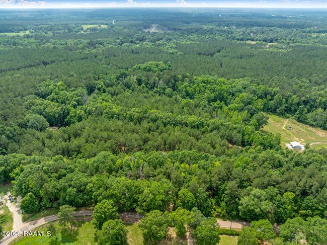 Aerial7mls | Image 4