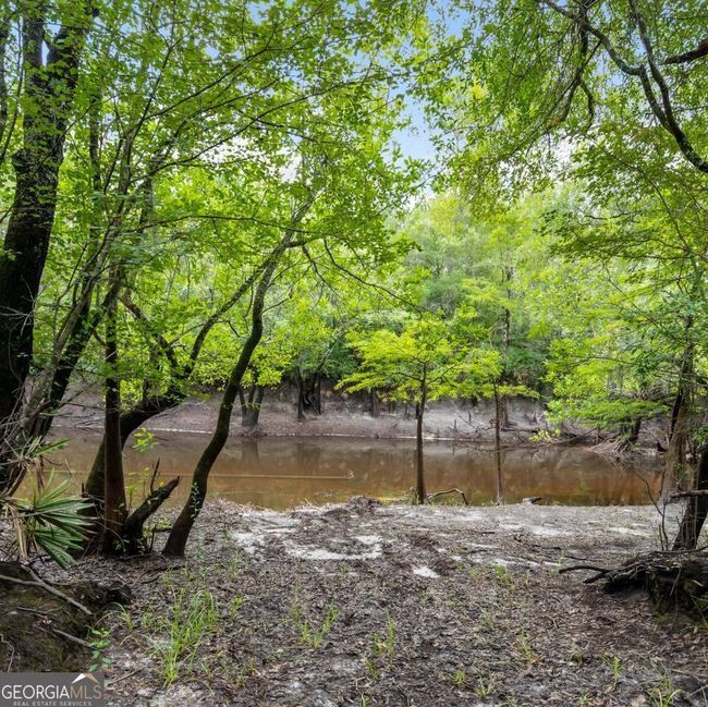 0 Roberson Rd, Home with 0 bedrooms, 0 bathrooms and null parking in Hortense GA | Image 6