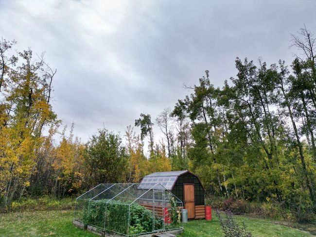5126 49 Th Ave, House other with 4 bedrooms, 2 bathrooms and 6 parking in Wanham AB | Image 32