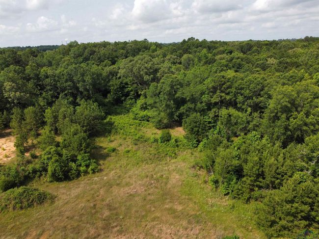 0000 State Highway 43 E, Home with 0 bedrooms, 0 bathrooms and null parking in Tatum TX | Image 9