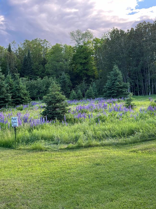 182 Woodlot Rd, House other with 3 bedrooms, 1 bathrooms and null parking in Crystal Falls MI | Image 49