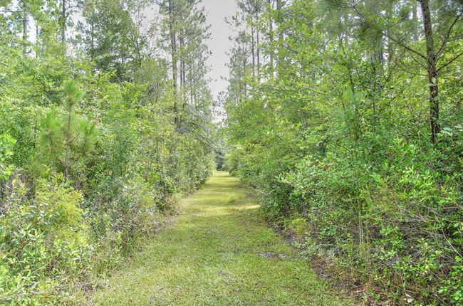 1328 Teeterville Rd, House other with 4 bedrooms, 4 bathrooms and 2 parking in Lakeland GA | Image 55