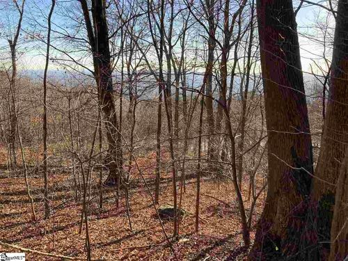 lot-130-130 Stonesthrow Dr, Landrum, SC, 29356 | Card Image
