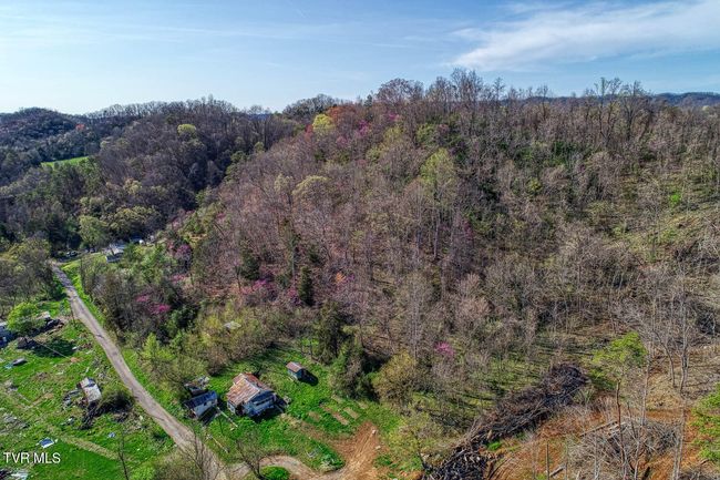 000 Sensabaugh Hollow Rd, Home with 0 bedrooms, 0 bathrooms and null parking in Church Hill TN | Image 15