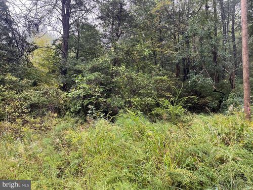 Lot 20 Chrystal Rd, COLONIAL BEACH, VA, 22443 | Card Image