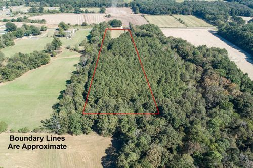 0 Clement Rd, Leighton, AL, 35646 | Card Image