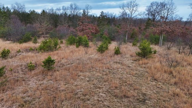 3726 N Custer Rd, Home with 0 bedrooms, 0 bathrooms and null parking in Manistee MI | Image 21