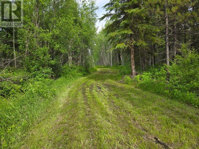 6770 Parsnip Rd, House other with 4 bedrooms, 1 bathrooms and null parking in Prince George BC | Image 40