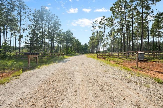 0000 Richardson Rd E, Home with 0 bedrooms, 0 bathrooms and null parking in Livingston TX | Image 13