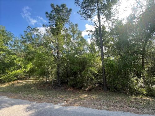 lot-16-TBD Sequoia Drive, Ocklawaha, FL, 32179 | Card Image