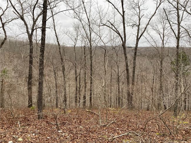 000 Holmes Rd, Home with 0 bedrooms, 0 bathrooms and null parking in Mountain View AR | Image 14