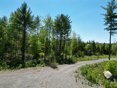9 Chickadee Lane, Lowell, ME, 04493 | Card Image