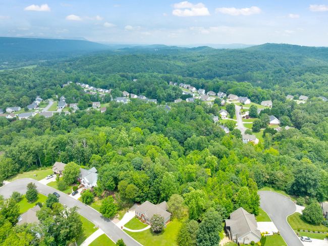 42 Roundtree Ct, House other with 4 bedrooms, 3 bathrooms and 2 parking in Flintstone GA | Image 4