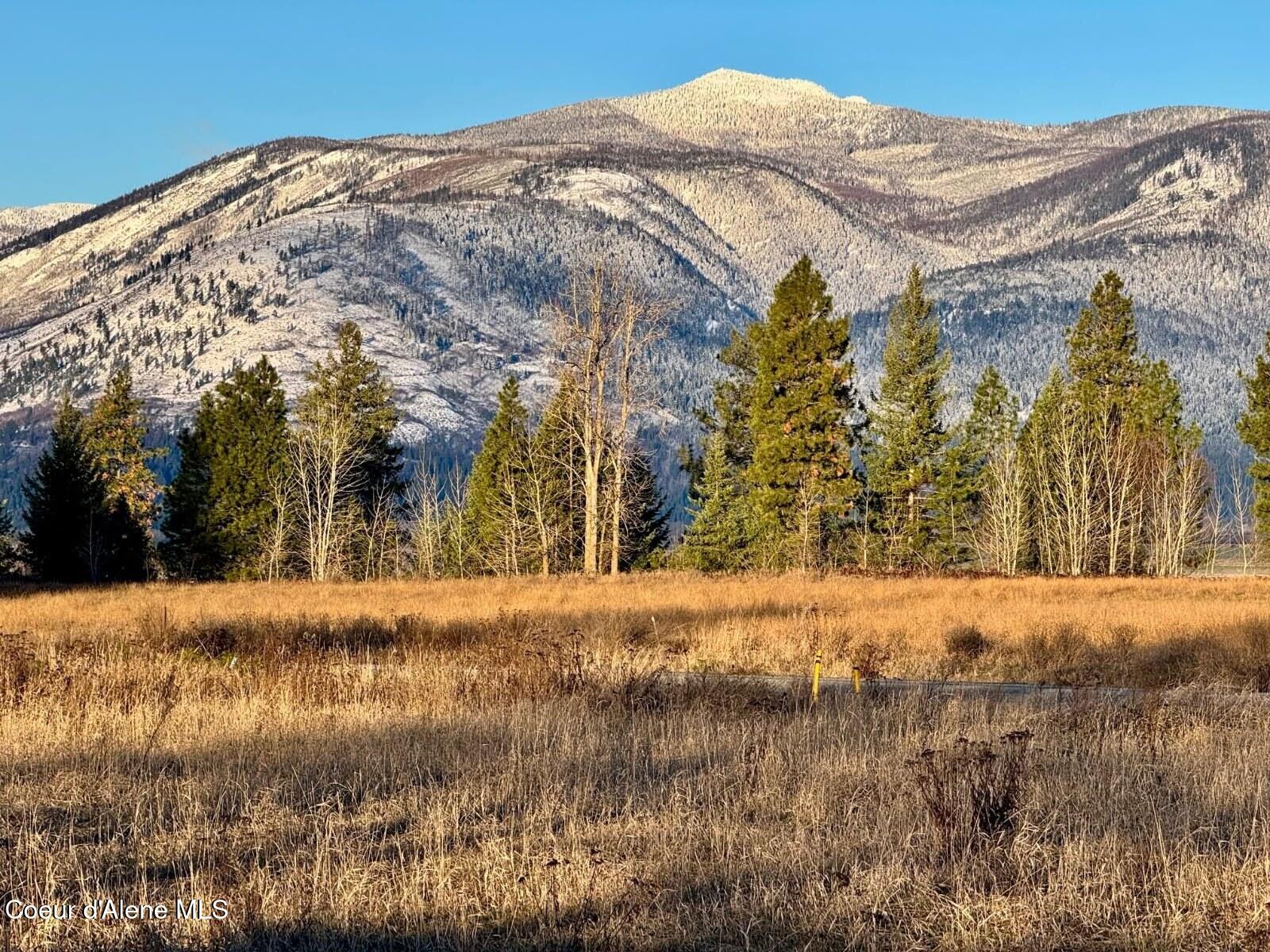 Land in Bonners Ferry 2