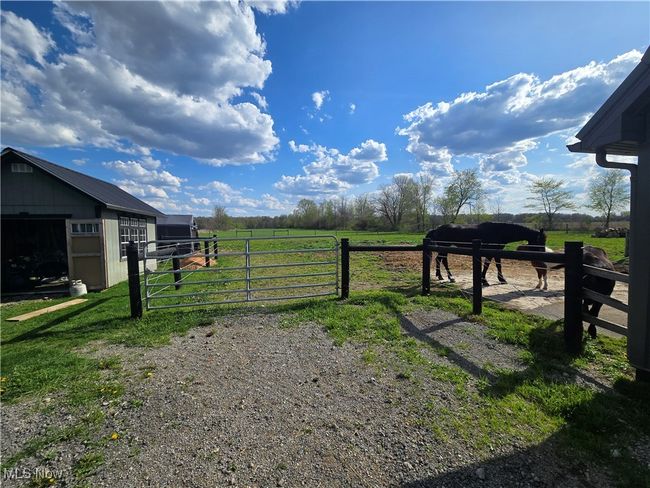 Horse/Livestock fencing | Image 42