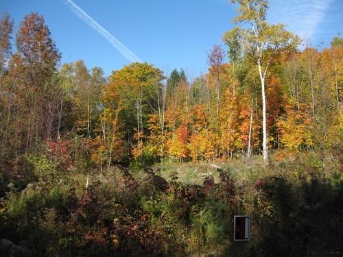 71 Overlook Ln, Orleans, VT, 05860 | Card Image