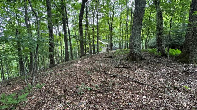 530 El Miner Dr, Home with 0 bedrooms, 0 bathrooms and null parking in Mars Hill NC | Image 6
