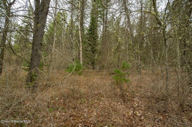 1813 Joyner Dr E, Home with 0 bedrooms, 0 bathrooms and null parking in Cusick WA | Image 43