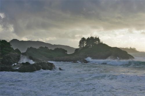 871 Moser Pl, Tofino, BC, V0R2Z0 | Card Image
