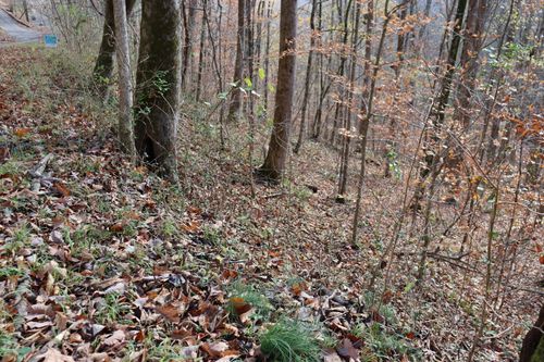 74 Cherokee Dr, Smithville, TN, 37166 | Card Image