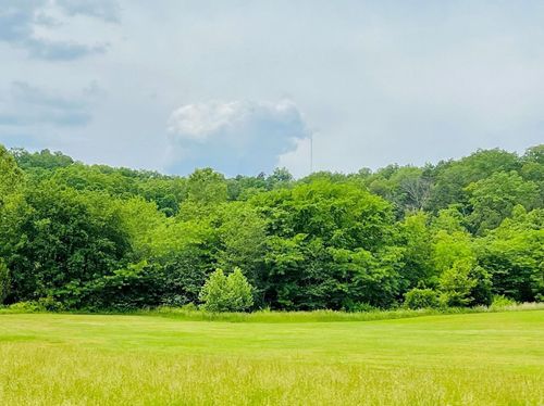 Lot 9 Deer Run, Van Buren, MO, 63965 | Card Image