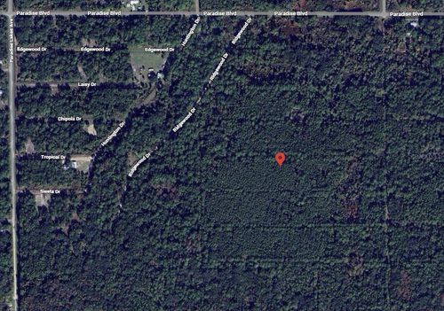 317 Tropical Dr, Georgetown, FL, 32139 | Card Image