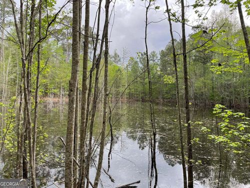 0 Mason Rd, Harlem, GA, 30814 | Card Image