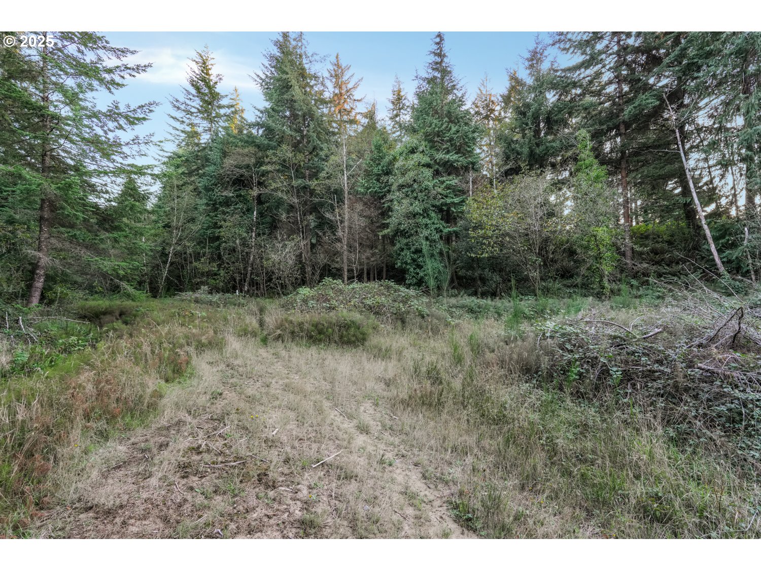 Land in CoosBay 5