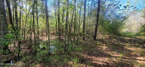 NHN Dupont Harts Chapel Rd, Poplarville, MS, 39470 | Card Image