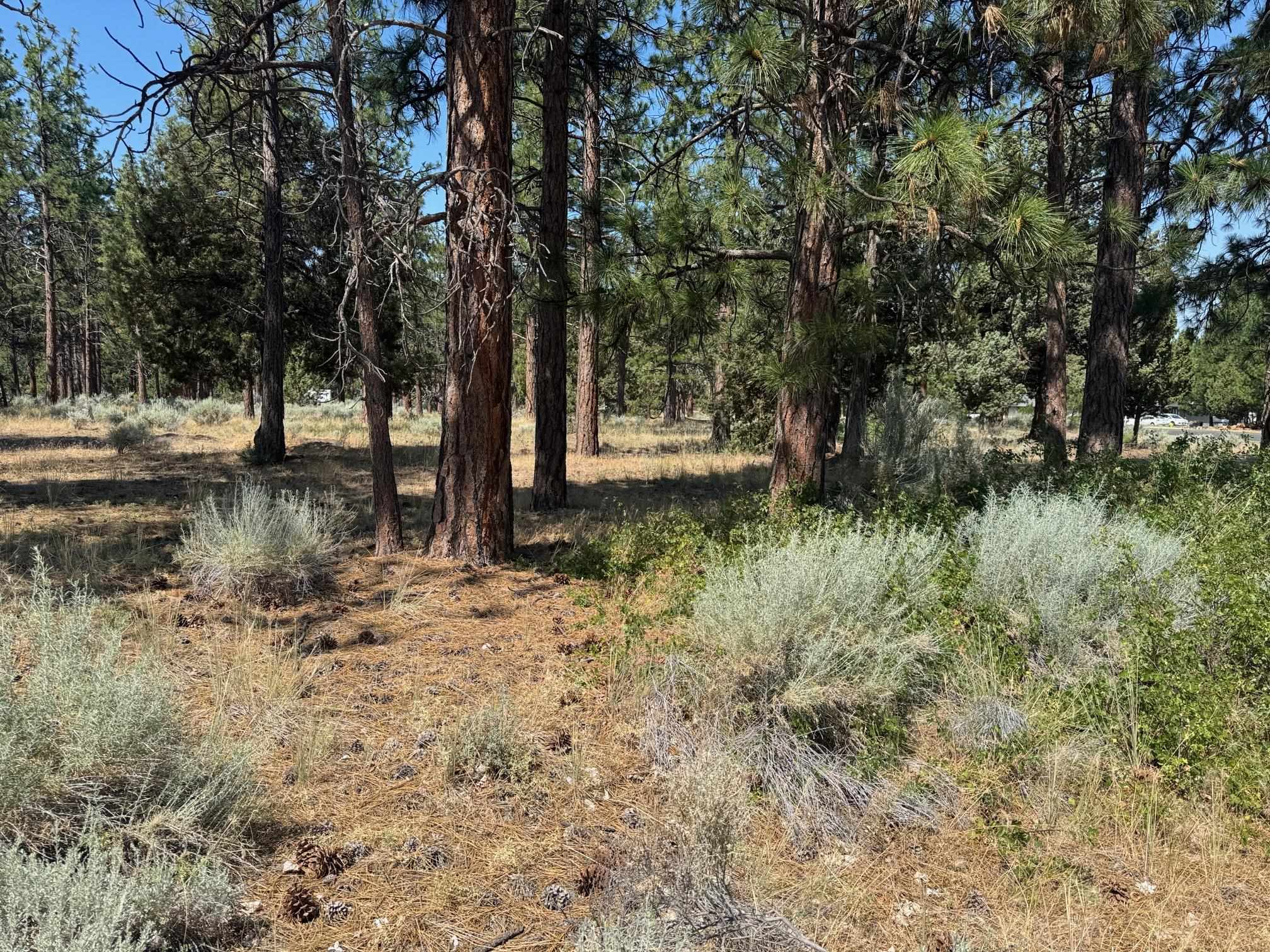 Land in Weed
