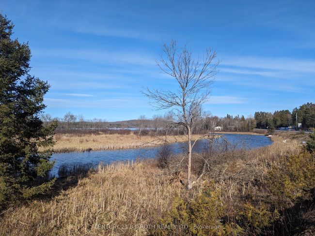 11146 On 118, Home with 0 bedrooms, 0 bathrooms and null parking in Algonquin Highlands ON | Image 4