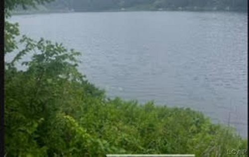 1000 Blk Chisholm Road, Cambridge Township, MI, 49265 | Card Image