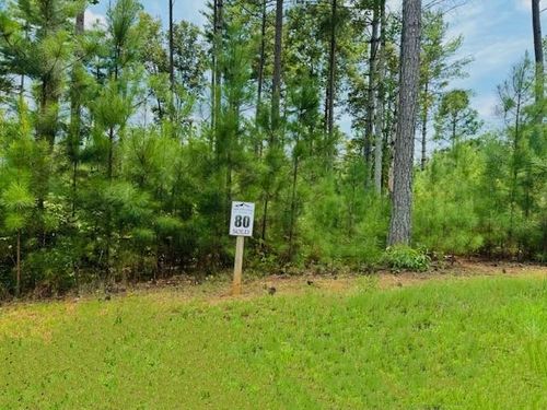 LT 80 Highpoint Trl, Blairsville, GA, 30512 | Card Image