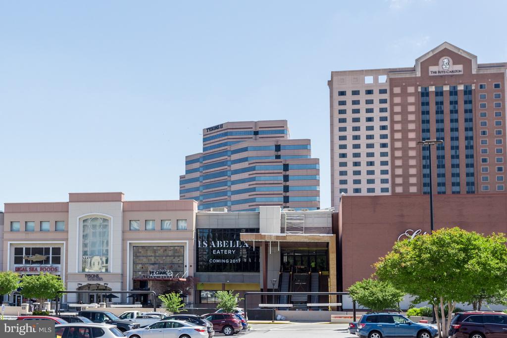 Residential in ANNANDALE 5