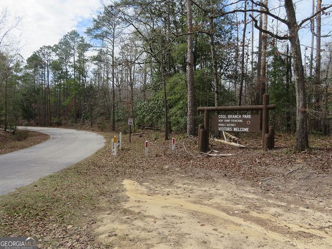 1 Cool Branch Rd, Home with 0 bedrooms, 0 bathrooms and null parking in Georgetown GA | Image 4