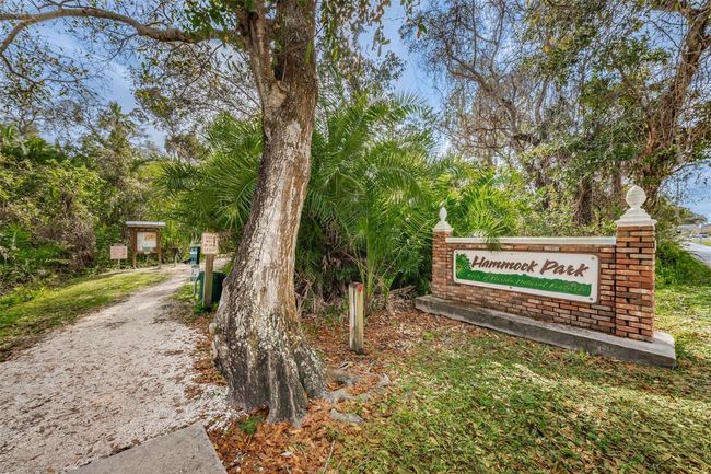Hammock Park Walking Trails...ACROSS the STREET! | Image 62