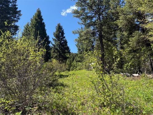 NHN Camas Springs Rd, Bonner, MT, 59823 | Card Image