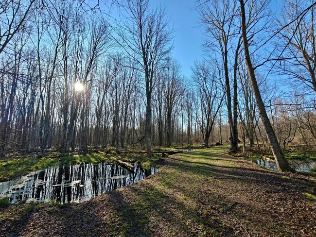 10830 3 Mile Rd, Home with 0 bedrooms, 0 bathrooms and null parking in Branch MI | Image 24
