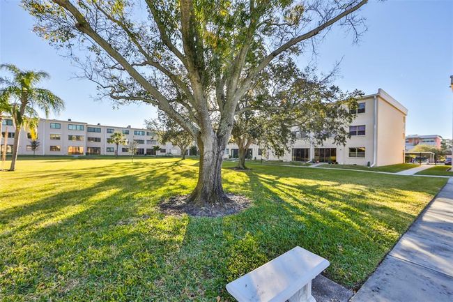 Evening strolls in the beautifully manicured courtyard! | Image 21