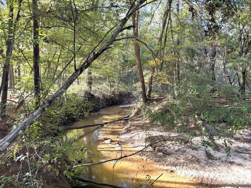 2080 County Road 1100, Woodville, TX, 75979-6716 | Card Image